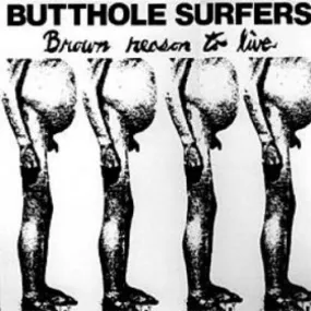 Butthole Surfers "Brown Reason To Live"