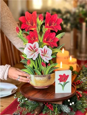 Life Sized Pop-Up Flower Bouquet: Scarlet Amaryllis