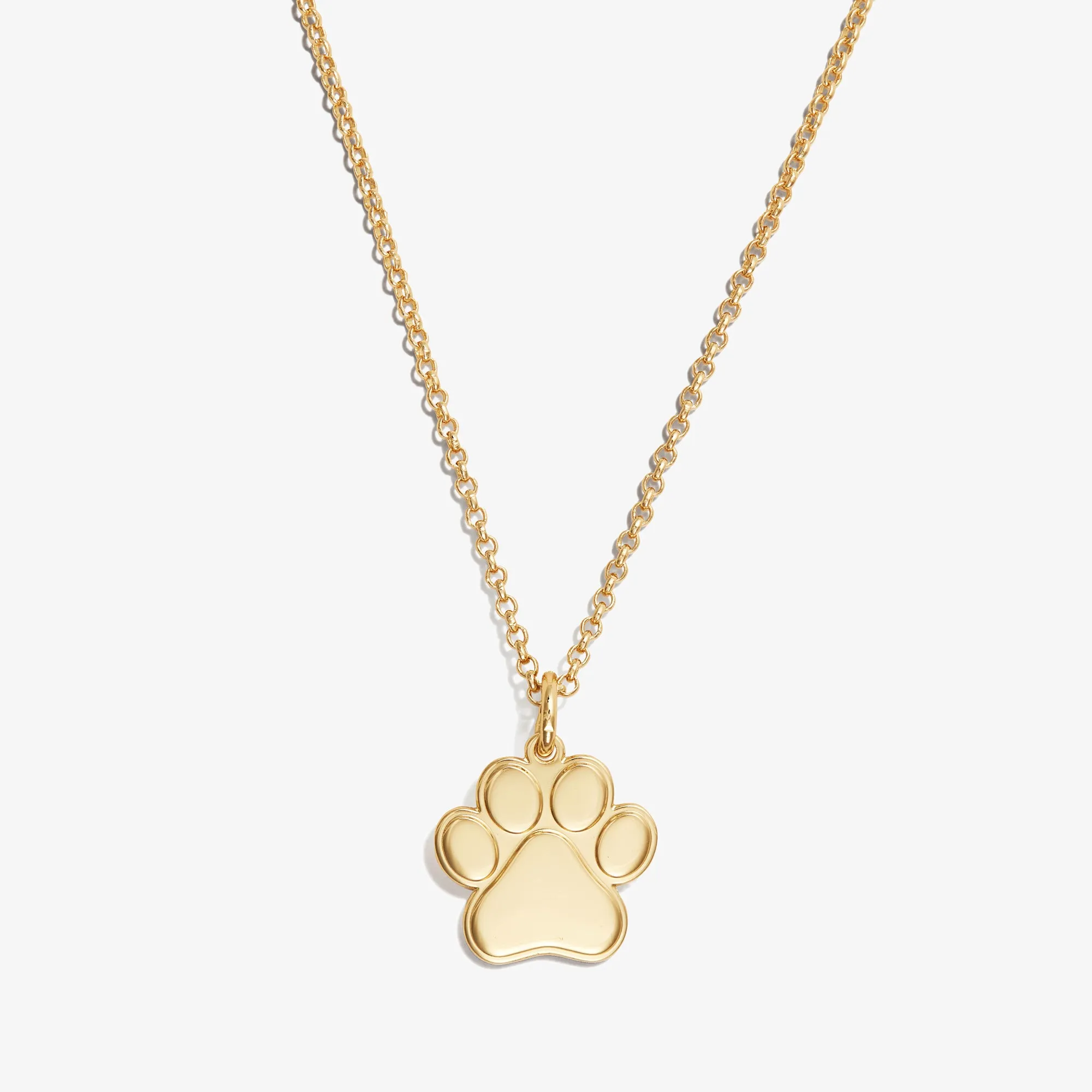 Paw Print Charm Necklace, 21''