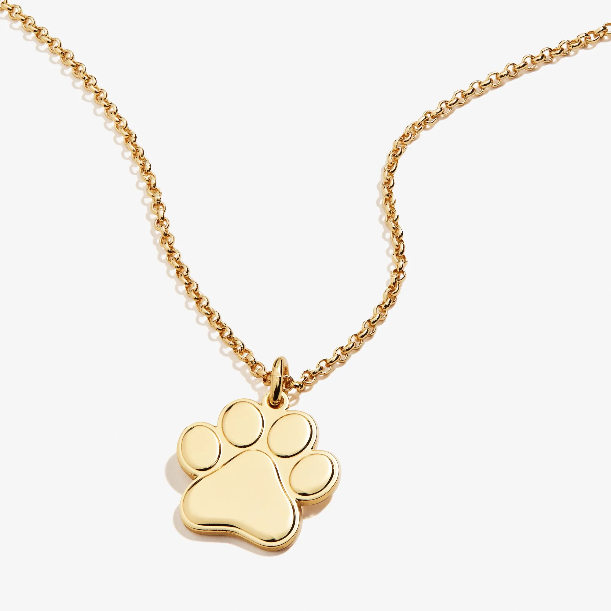 Paw Print Charm Necklace, 21''