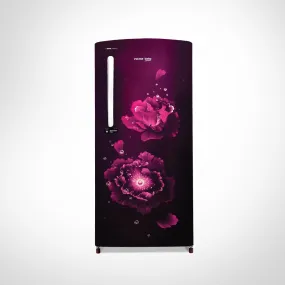 Voltas Beko 185 L, 3 Star, Single Door DC Refrigerator (Fairy Flower Purple)